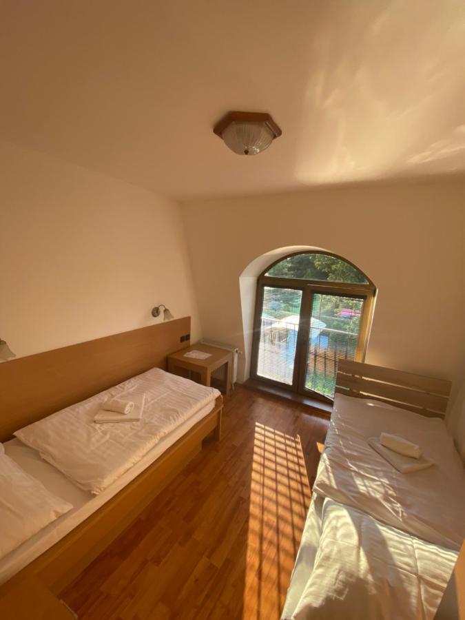 Hotel David Velke Bosany エクステリア 写真